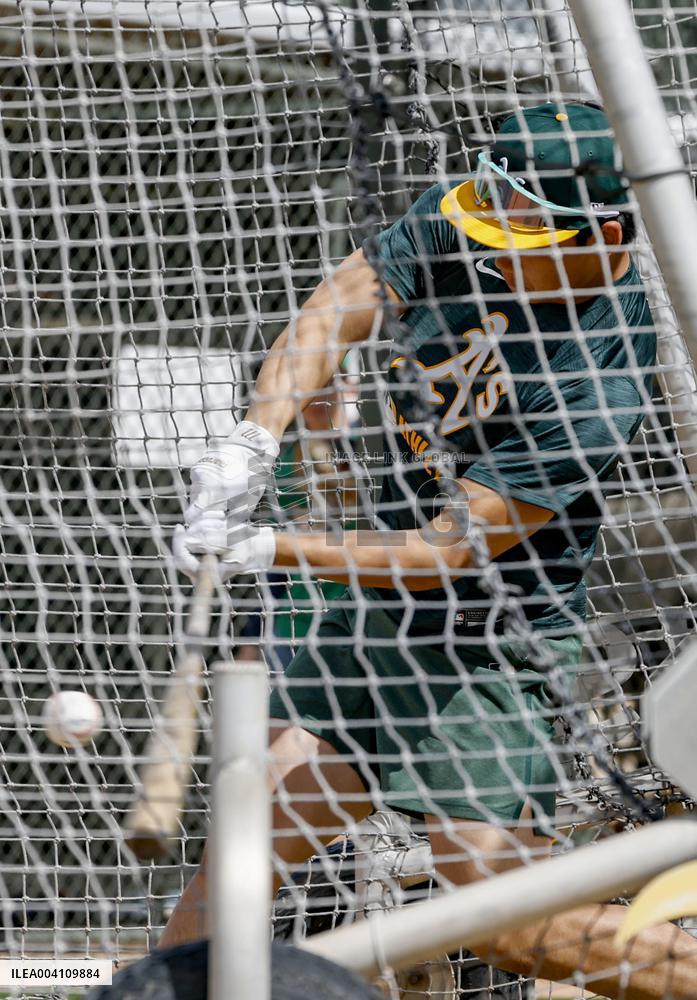 Baseball: Shotaro Morii