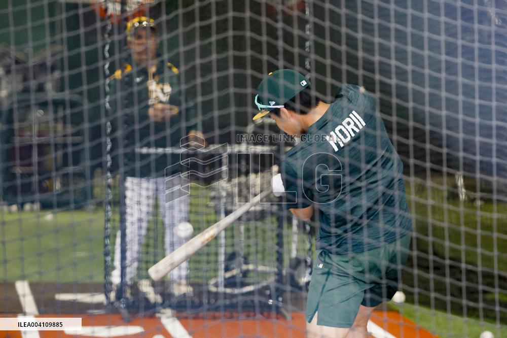 Baseball: Shotaro Morii