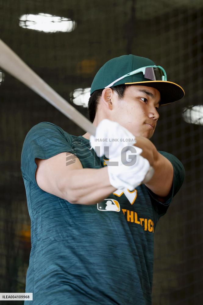 Baseball: Shotaro Morii