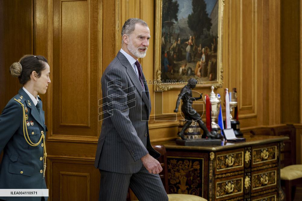 King Felipe Receives Representatives Of The Callia Foundation - Madrid
