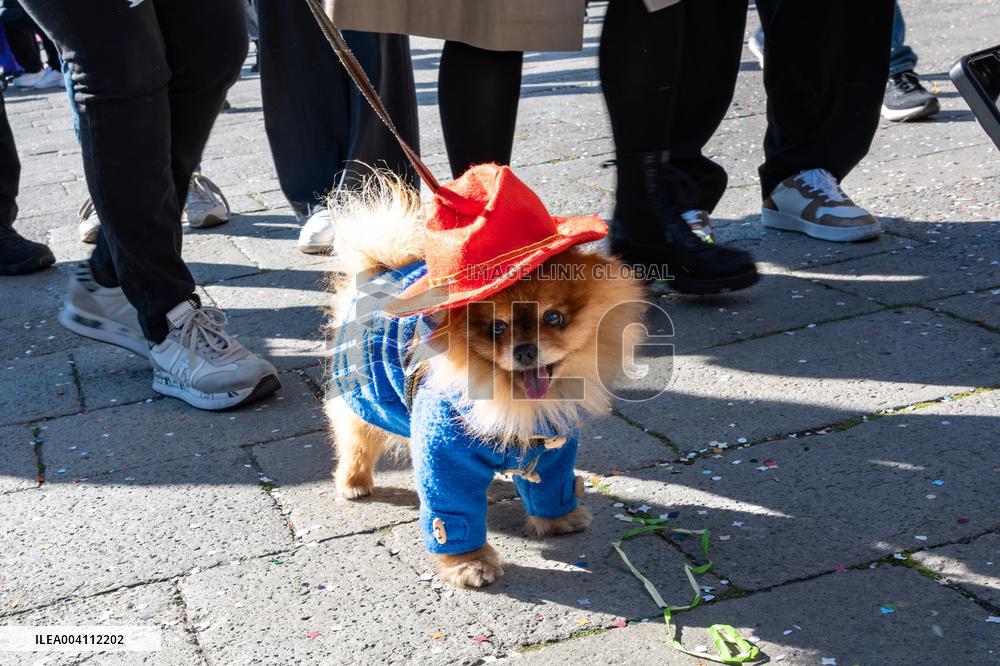 Venice Carnival 2025