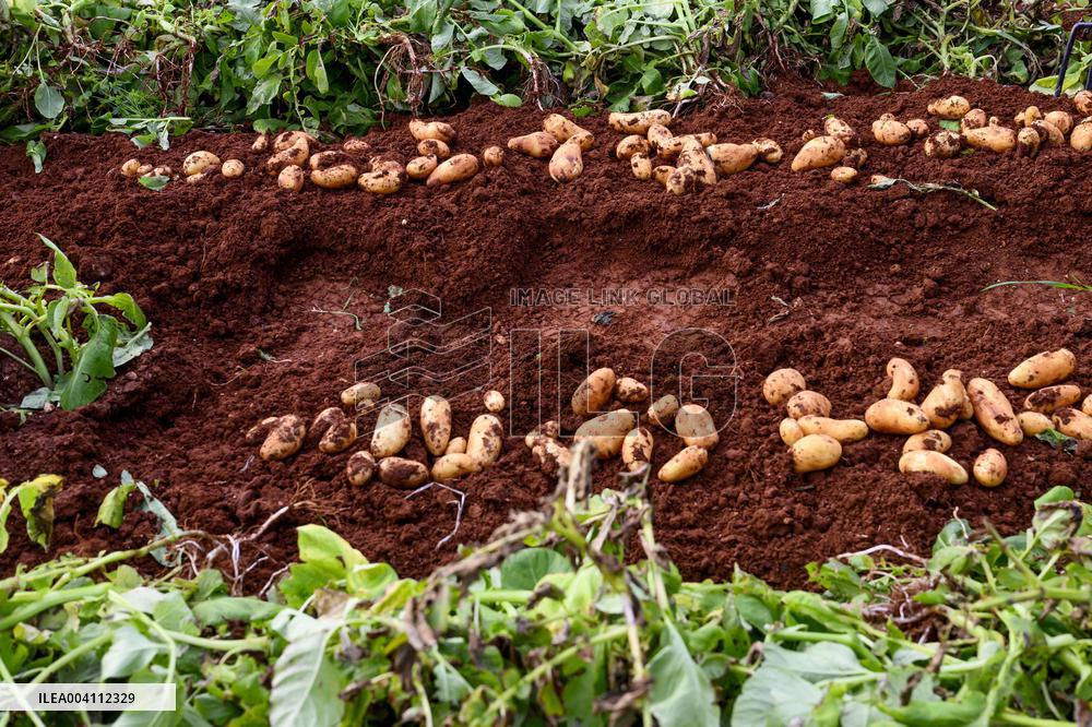 State Visit of King Willem Alexander and Queen Maxima to Cyprus