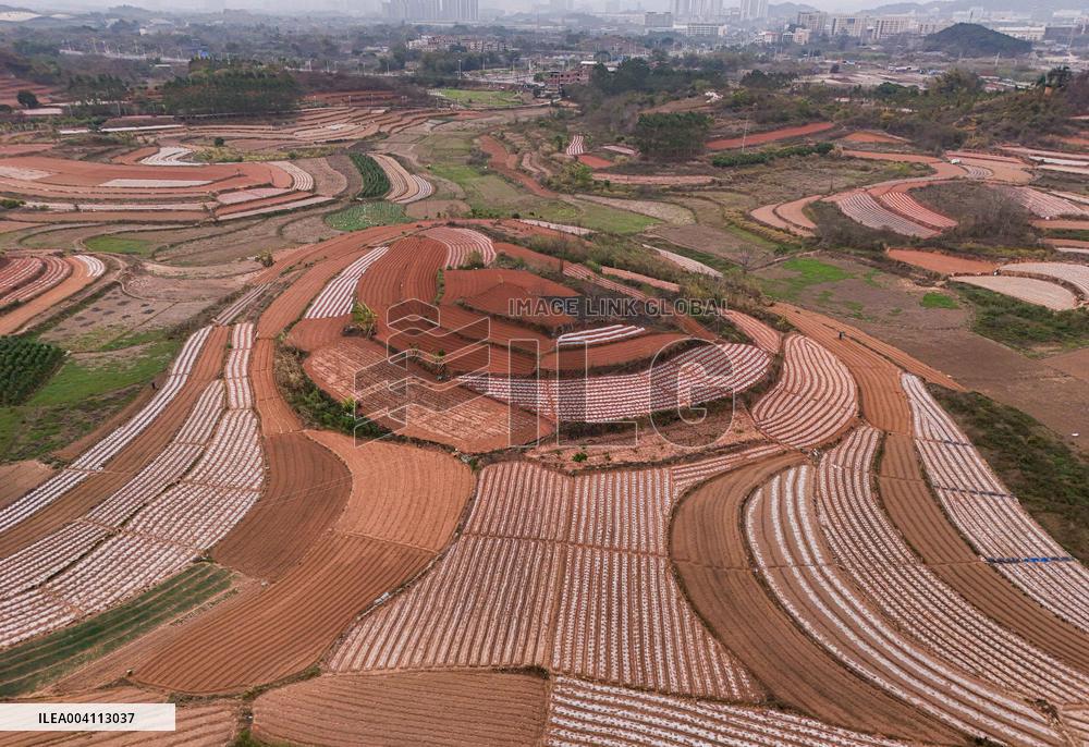 Spring Ploughing Fields in Nanning