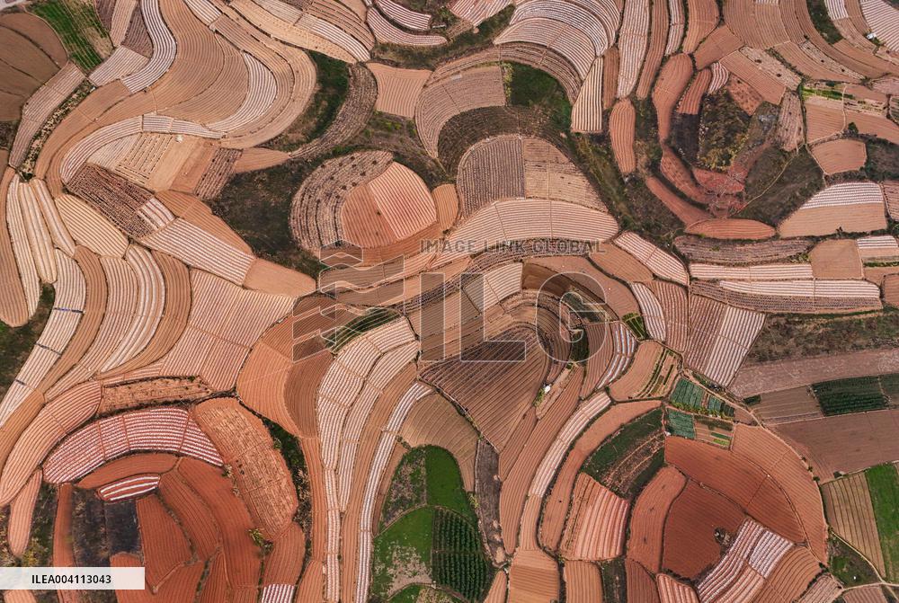 Spring Ploughing Fields in Nanning