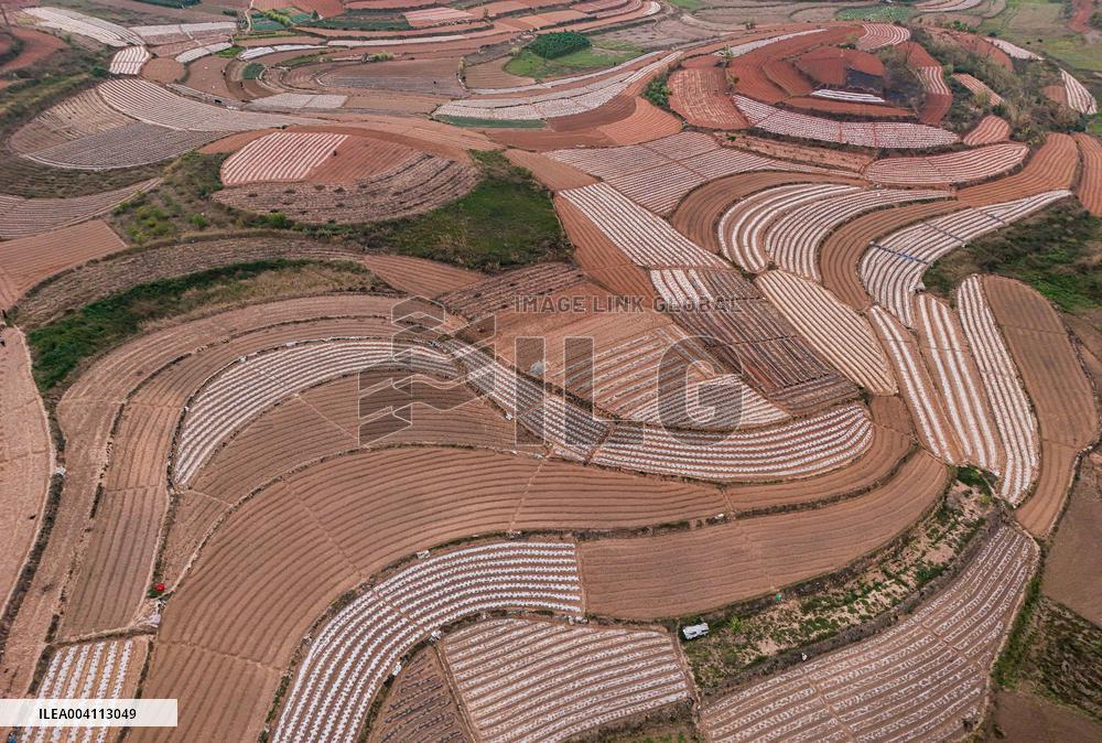 Spring Ploughing Fields in Nanning