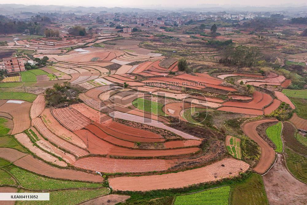 Spring Ploughing Fields in Nanning
