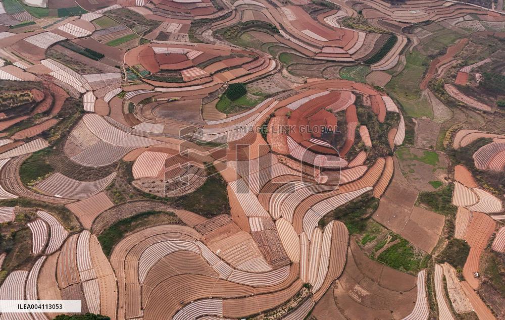 Spring Ploughing Fields in Nanning