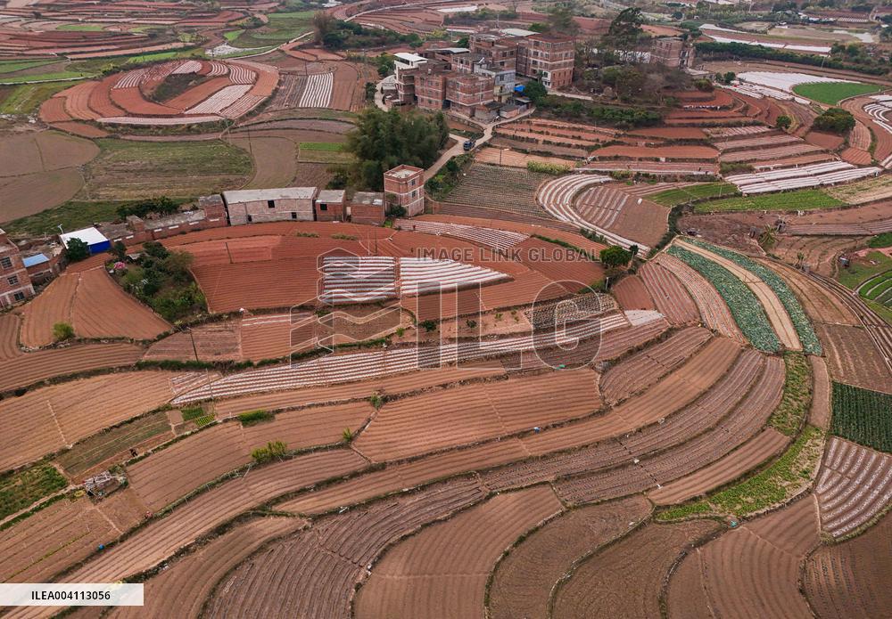 Spring Ploughing Fields in Nanning