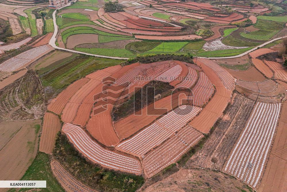 Spring Ploughing Fields in Nanning
