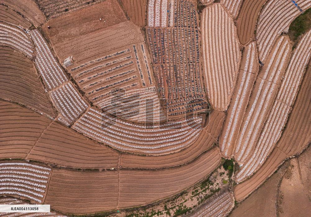 Spring Ploughing Fields in Nanning