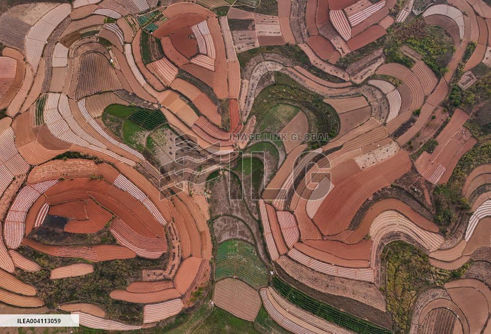 Spring Ploughing Fields in Nanning