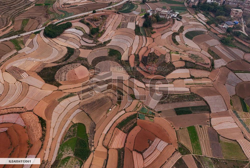 Spring Ploughing Fields in Nanning