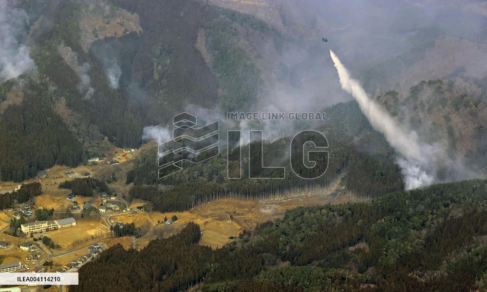 Forest fire in northeastern Japan