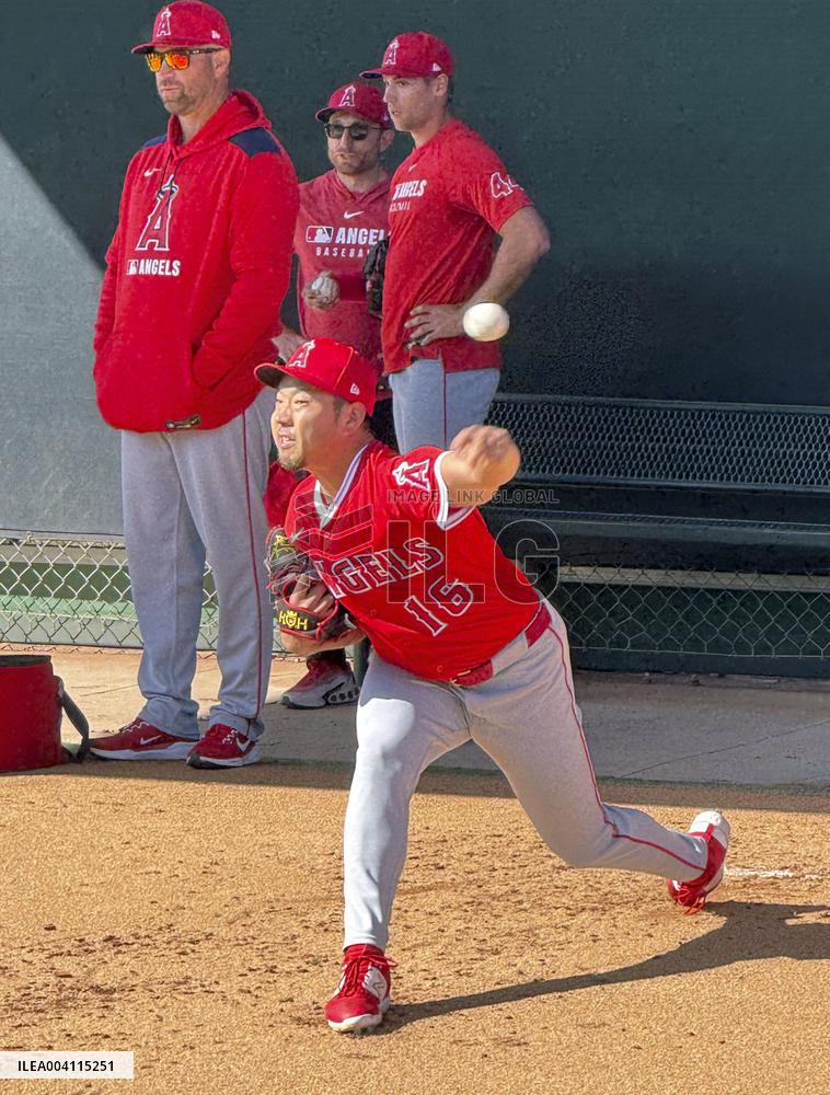 Baseball: MLB spring training