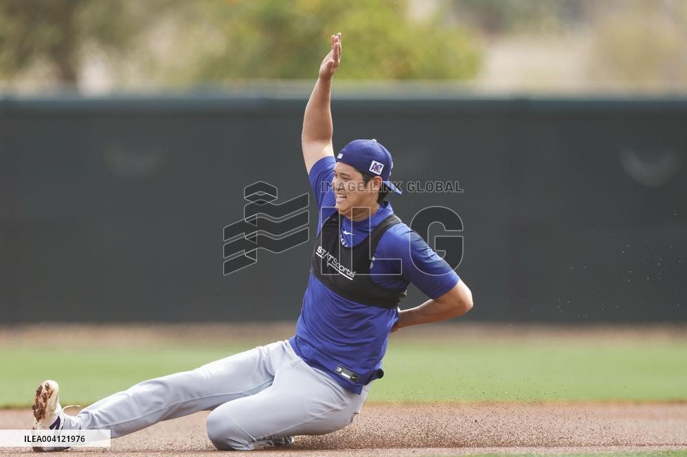 Baseball: MLB spring training