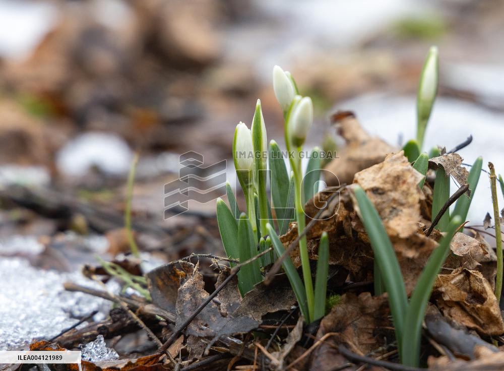 Spring is coming early