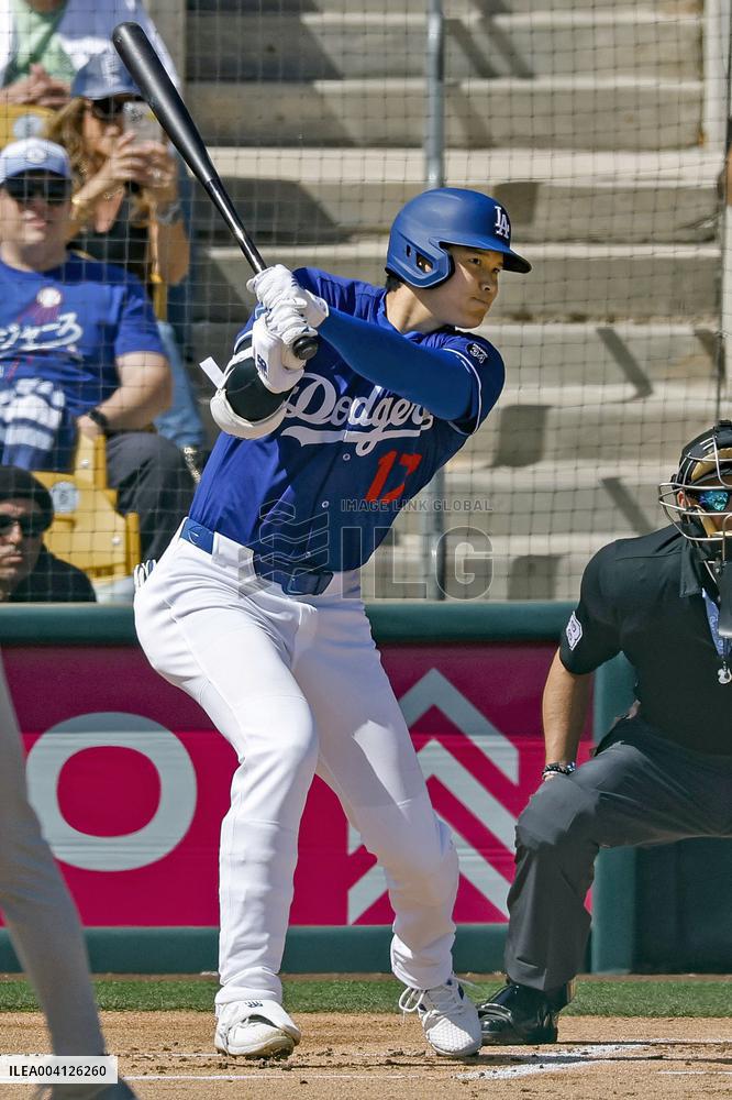 Baseball: MLB spring training