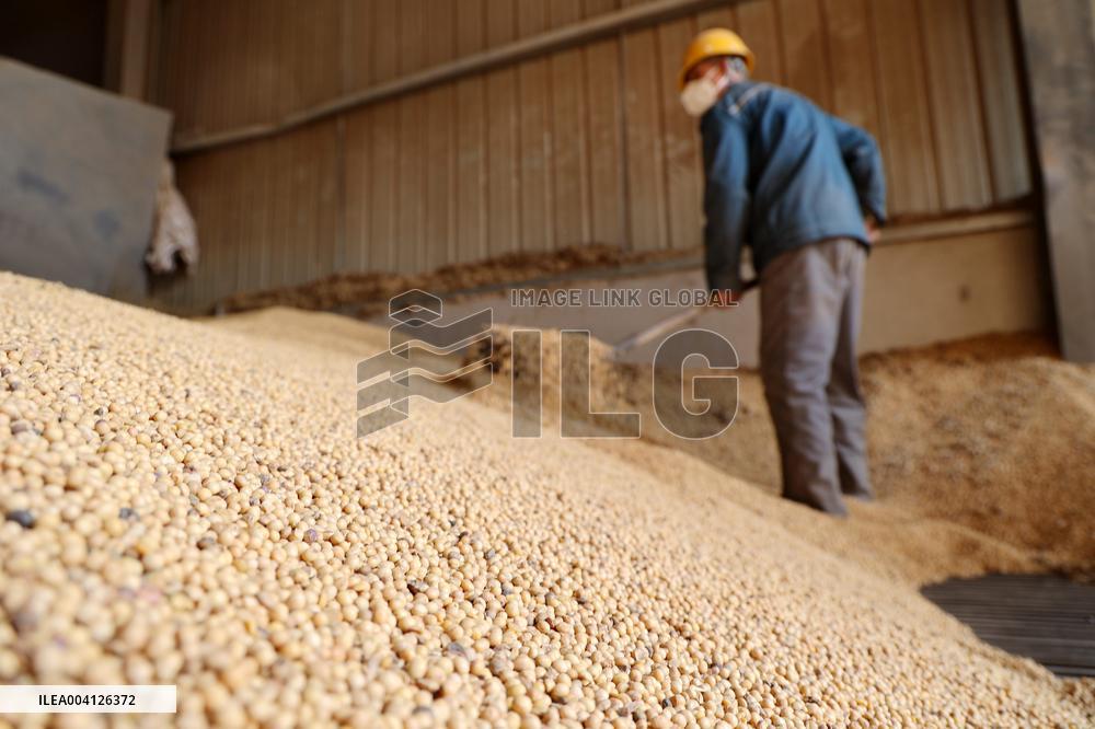 Imported soybeans