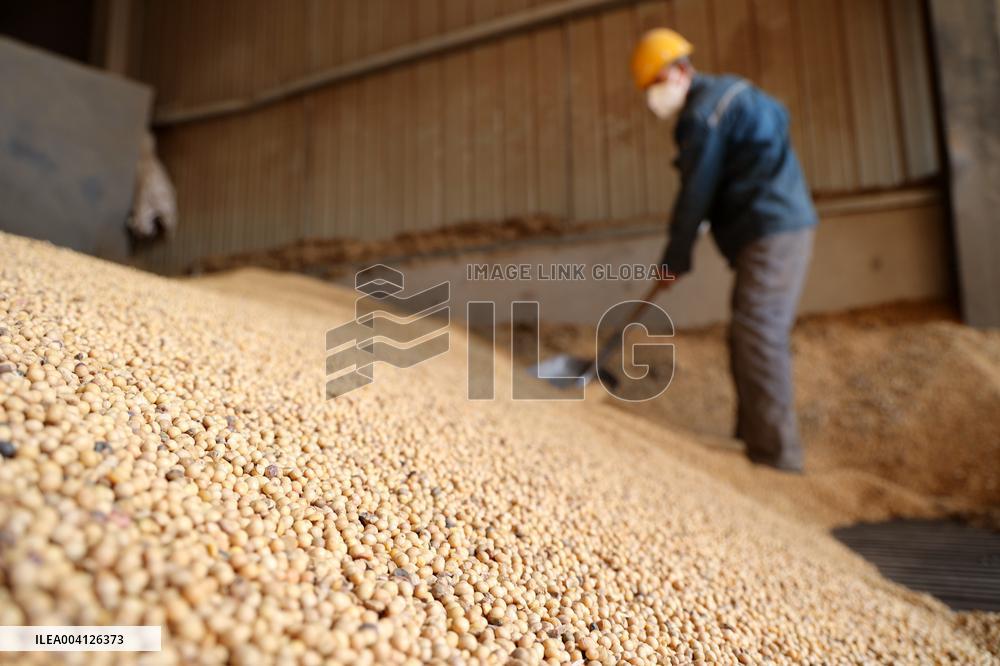 Imported soybeans
