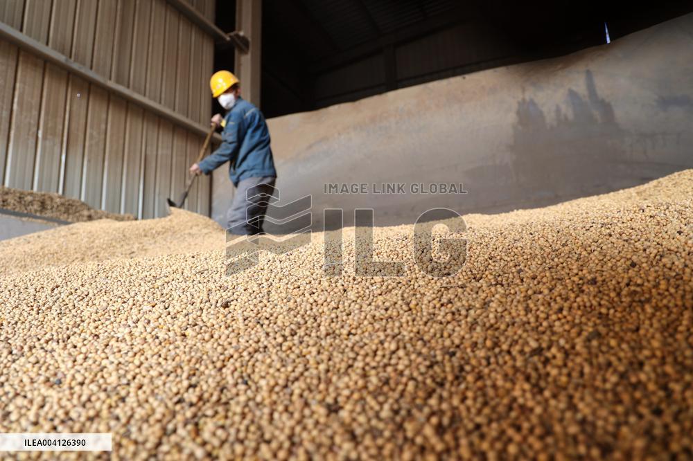 Imported soybeans