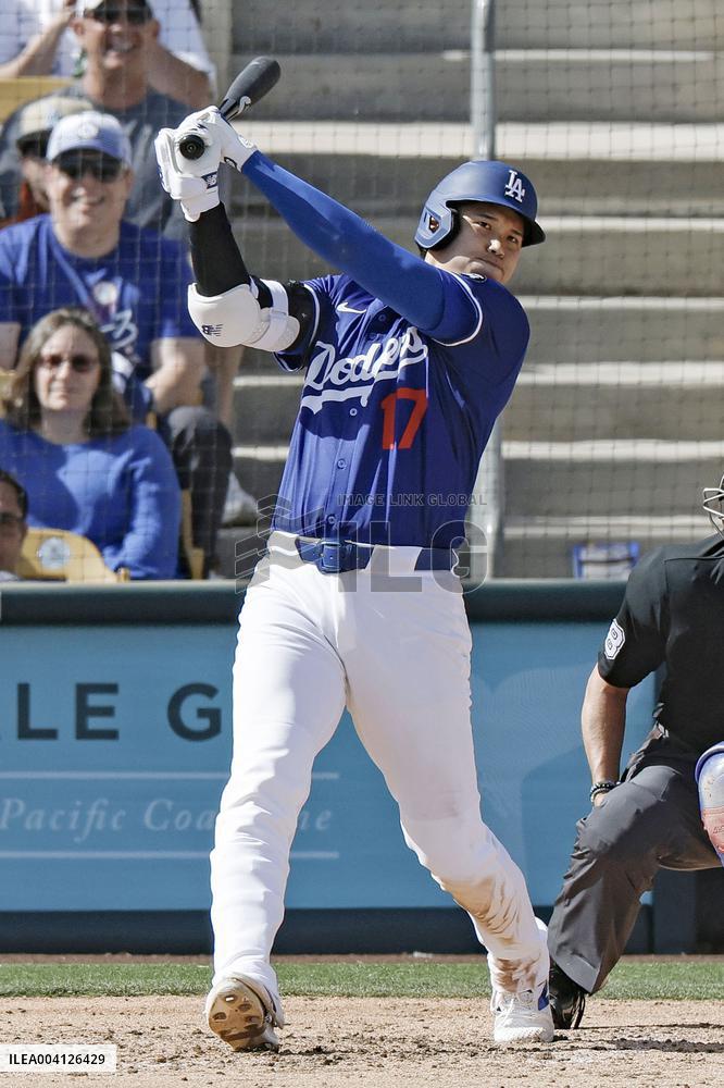 Baseball: MLB spring training