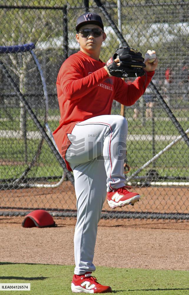 Baseball: MLB spring training