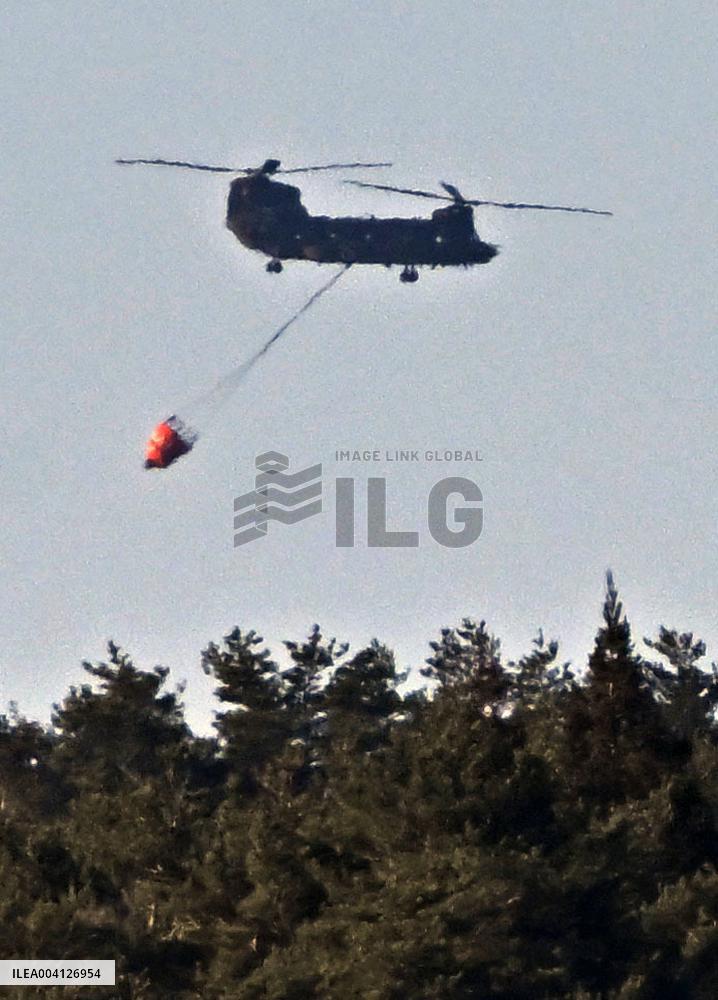 Forest fire in northeastern Japan