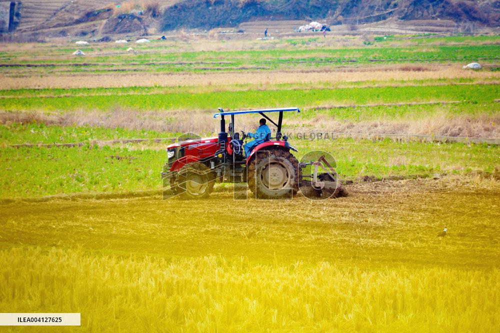 High-standard Farmland Construction in Anqing