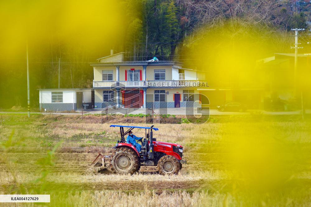 High-standard Farmland Construction in Anqing