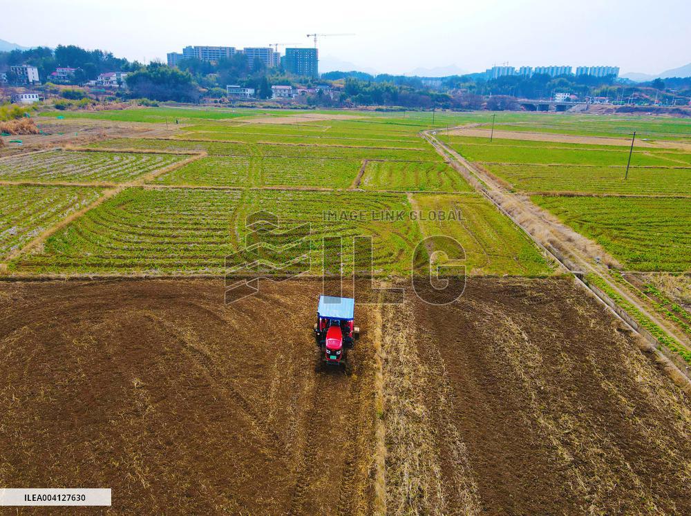 High-standard Farmland Construction in Anqing