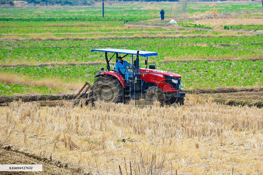High-standard Farmland Construction in Anqing