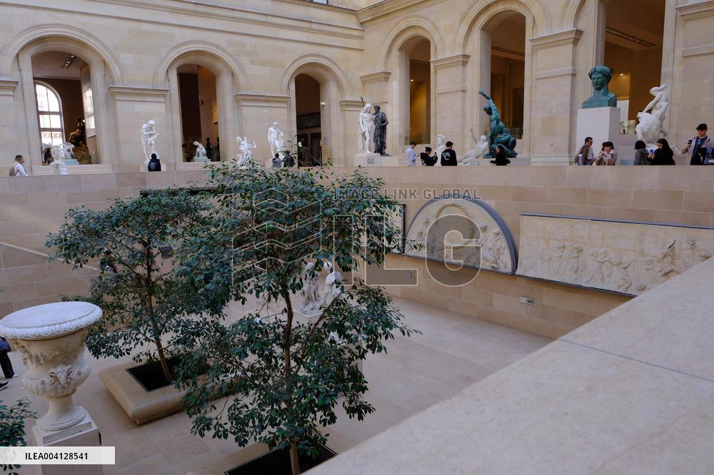 Louvre Museum And Pyramid Illustrations - Paris