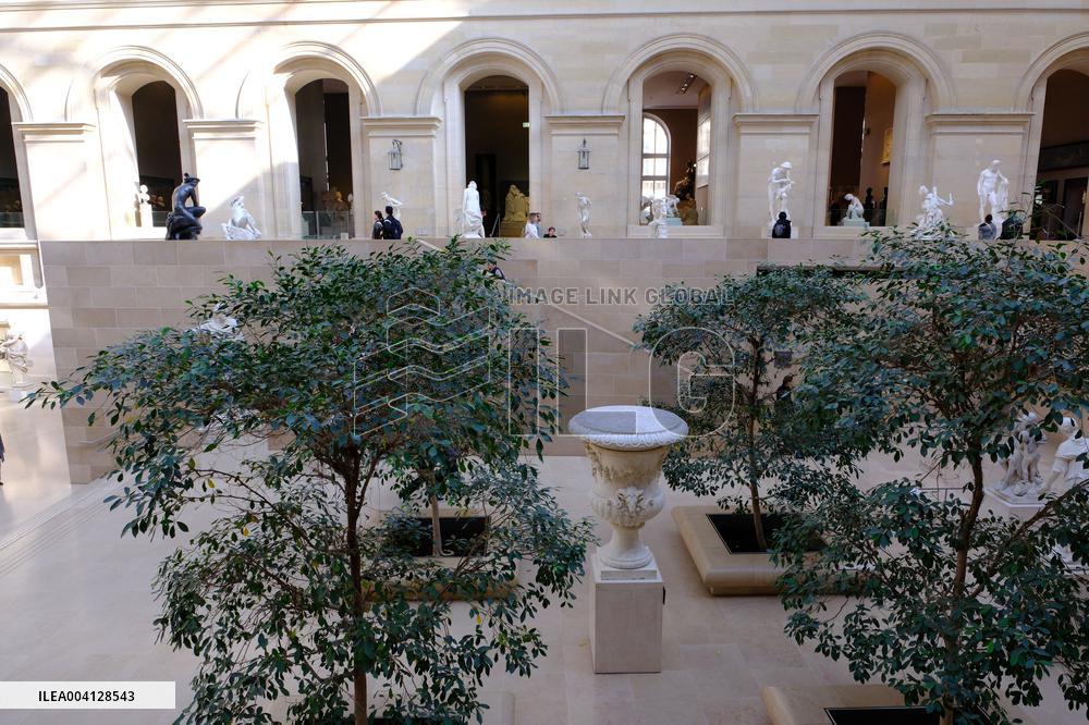 Louvre Museum And Pyramid Illustrations - Paris