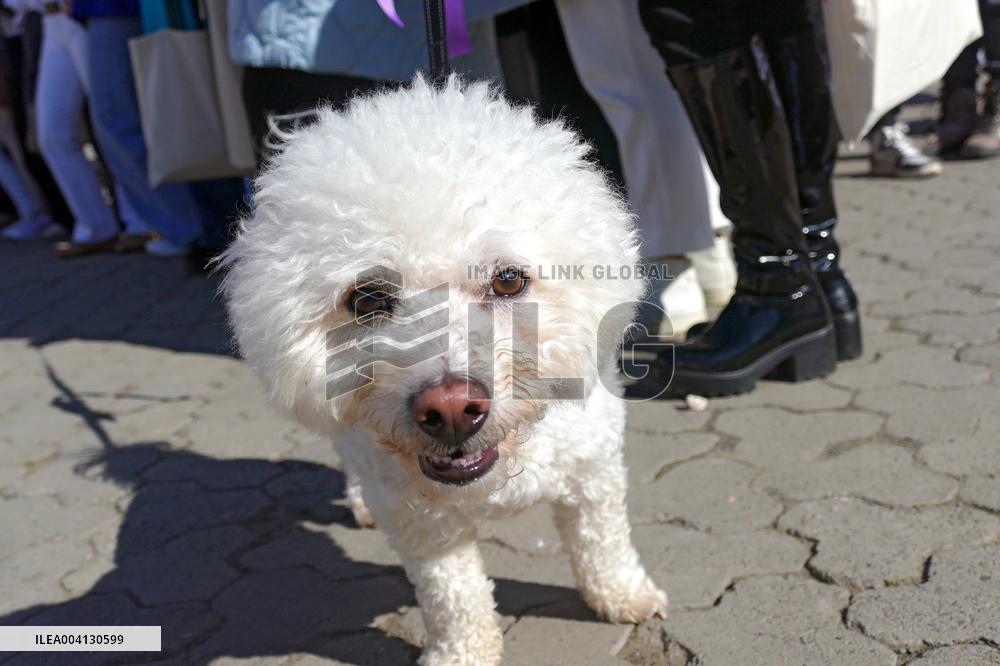 Event ahead of International Womens Day in Uzhhorod