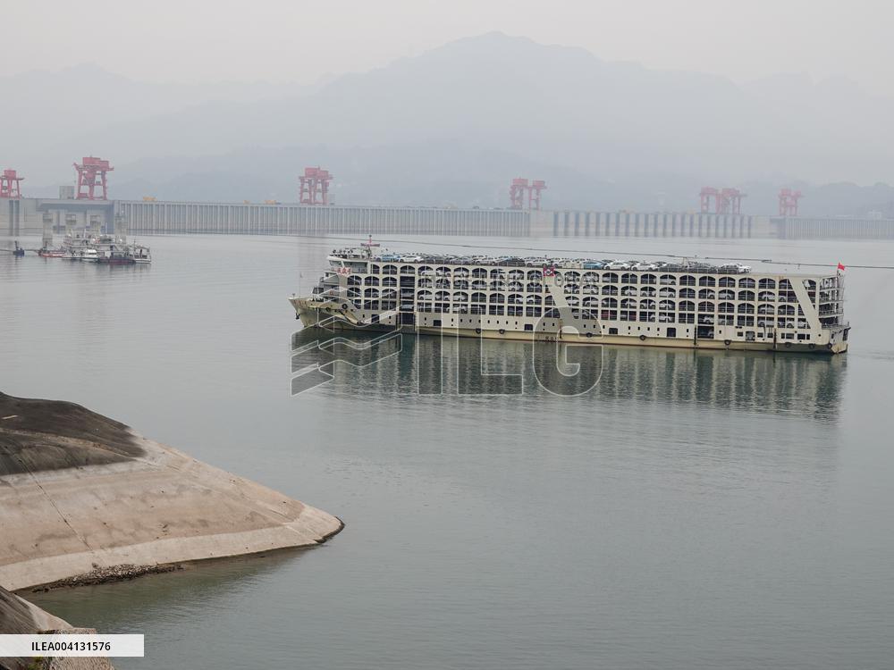 Automobile Production And Marketing in China