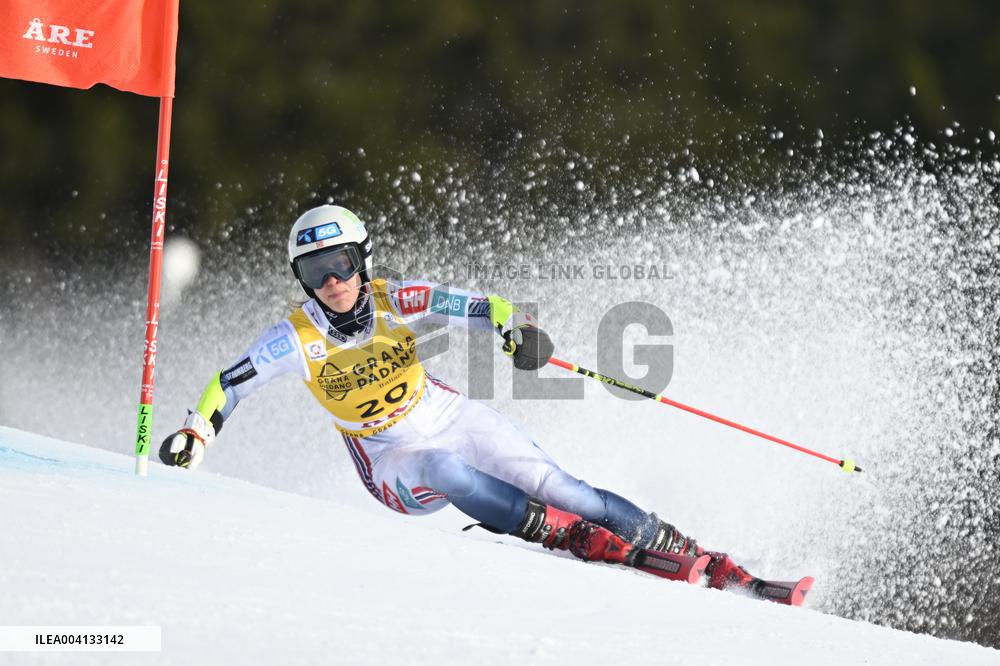 ALPINE SKIING WC GIANT SLALOM
