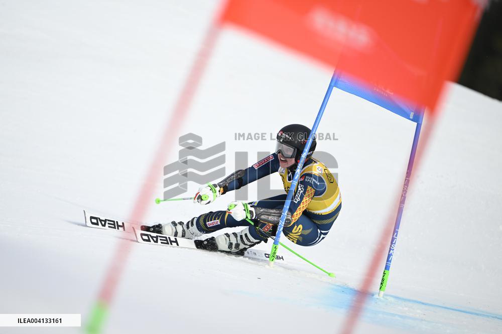 ALPINE SKIING WC GIANT SLALOM