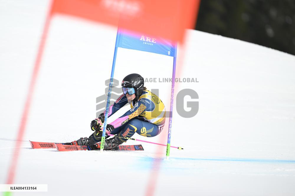 ALPINE SKIING WC GIANT SLALOM