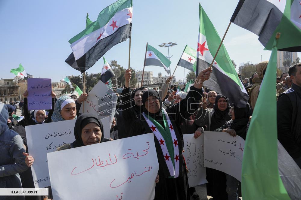 Demonstration in support of the new government - Aleppo