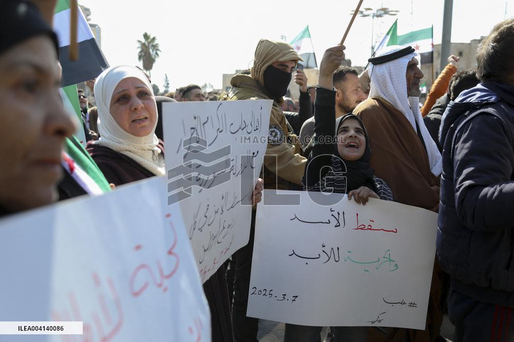 Demonstration in support of the new government - Aleppo