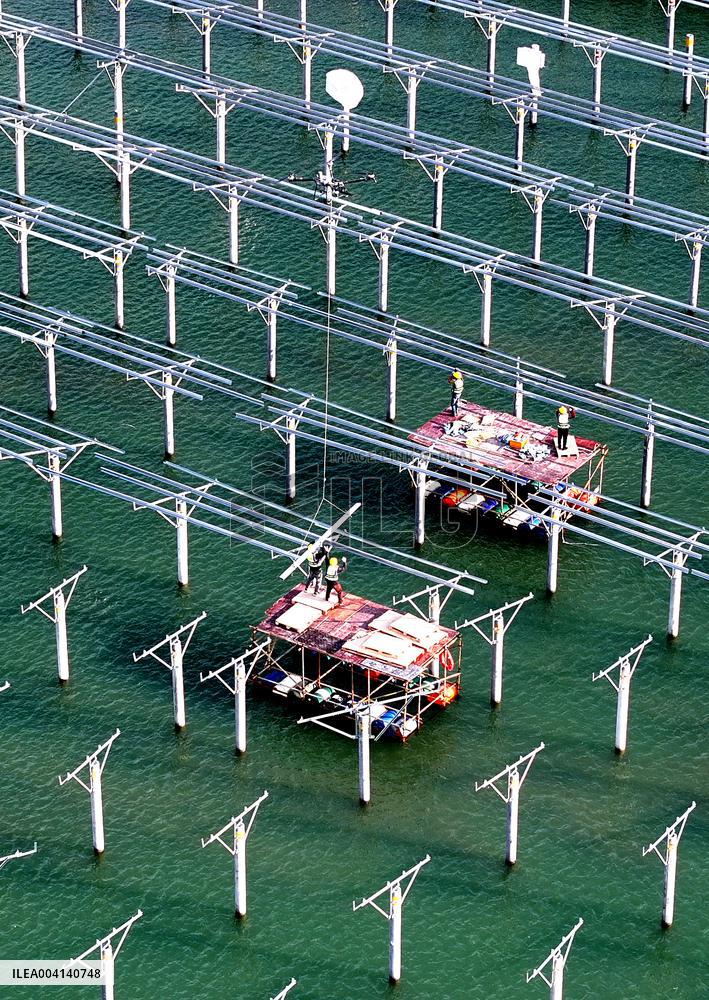PV Power Plant Construction in Putian