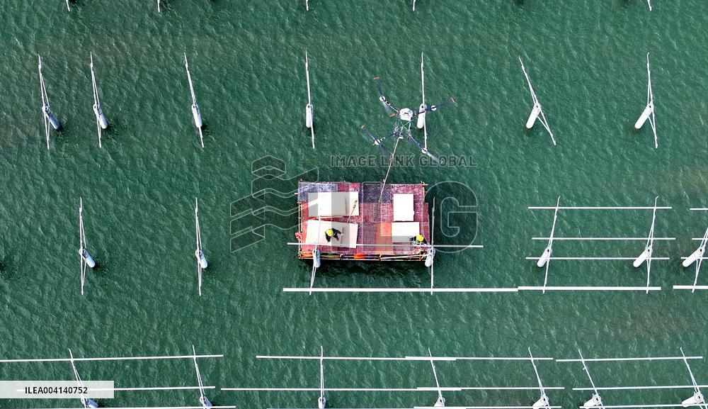 PV Power Plant Construction in Putian