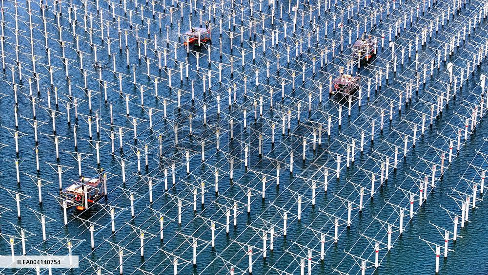 PV Power Plant Construction in Putian