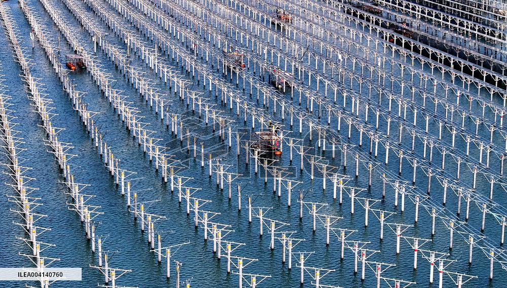 PV Power Plant Construction in Putian
