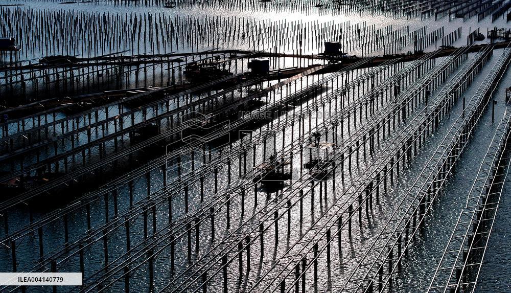 PV Power Plant Construction in Putian