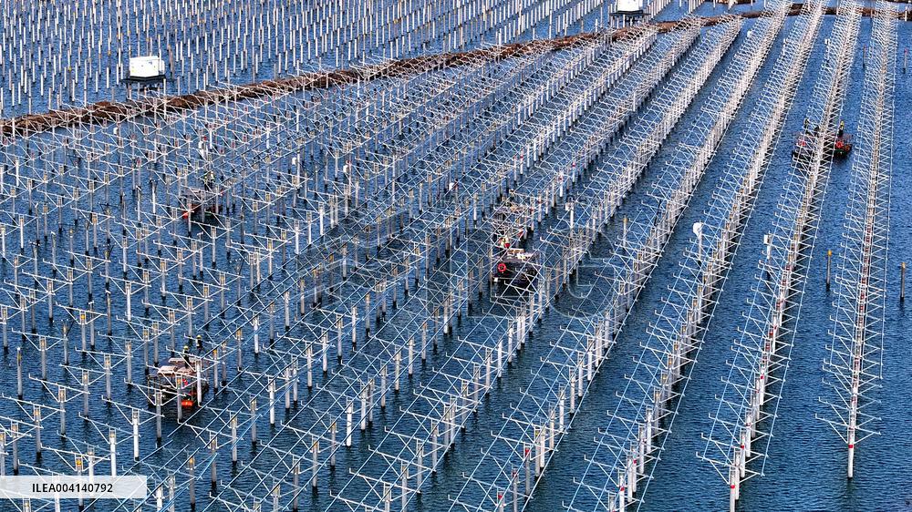 PV Power Plant Construction in Putian