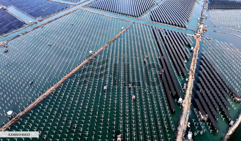 PV Power Plant Construction in Putian