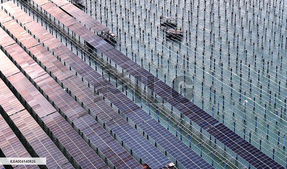 PV Power Plant Construction in Putian