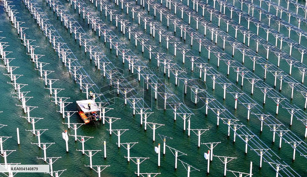 PV Power Plant Construction in Putian