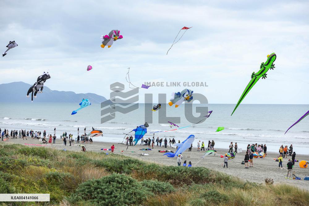 Otaki Kite Festival - New Zealand